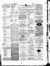 Tottenham and Edmonton Weekly Herald Saturday 30 May 1874 Page 3