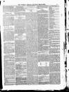 Tottenham and Edmonton Weekly Herald Saturday 30 May 1874 Page 7