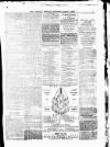 Tottenham and Edmonton Weekly Herald Saturday 01 August 1874 Page 7