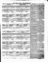 Tottenham and Edmonton Weekly Herald Saturday 24 February 1877 Page 3