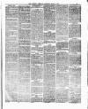 Tottenham and Edmonton Weekly Herald Saturday 14 April 1877 Page 3