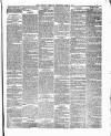 Tottenham and Edmonton Weekly Herald Saturday 21 April 1877 Page 3
