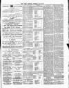 Tottenham and Edmonton Weekly Herald Saturday 19 July 1879 Page 3
