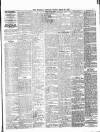 Tottenham and Edmonton Weekly Herald Friday 30 August 1901 Page 7