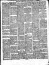 Willesden Chronicle Friday 01 November 1878 Page 3