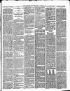 Willesden Chronicle Friday 22 August 1879 Page 7