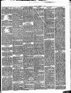 Willesden Chronicle Friday 19 December 1879 Page 5