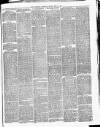 Willesden Chronicle Friday 21 May 1880 Page 7