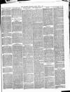 Willesden Chronicle Friday 04 June 1880 Page 3