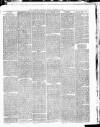 Willesden Chronicle Friday 12 November 1880 Page 7
