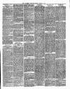 Willesden Chronicle Friday 04 March 1881 Page 3