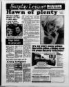 Sunday Sun (Newcastle) Sunday 01 March 1981 Page 17