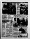 Sunday Sun (Newcastle) Sunday 15 March 1981 Page 47