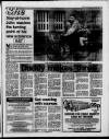 Sunday Sun (Newcastle) Sunday 29 January 1989 Page 13