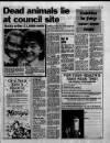 Sunday Sun (Newcastle) Sunday 10 September 1989 Page 13