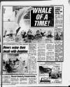 Sunday Sun (Newcastle) Sunday 14 January 1990 Page 15