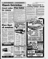 Sunday Sun (Newcastle) Sunday 21 January 1990 Page 17