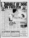 Sunday Sun (Newcastle) Sunday 29 November 1992 Page 5