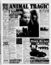 Sunday Sun (Newcastle) Sunday 08 October 1995 Page 17