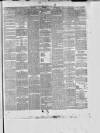 East Anglian Daily Times Thursday 05 November 1874 Page 3