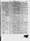 East Anglian Daily Times Saturday 20 February 1875 Page 3