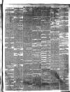 East Anglian Daily Times Saturday 22 January 1881 Page 3