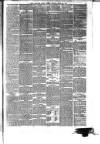 East Anglian Daily Times Friday 10 June 1881 Page 3