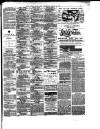 East Anglian Daily Times Wednesday 29 January 1890 Page 3