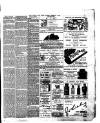 East Anglian Daily Times Saturday 08 February 1890 Page 7