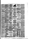 East Anglian Daily Times Monday 17 March 1890 Page 3