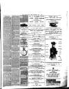 East Anglian Daily Times Wednesday 07 May 1890 Page 7
