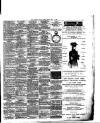 East Anglian Daily Times Friday 09 May 1890 Page 3