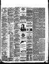 East Anglian Daily Times Tuesday 13 January 1891 Page 3