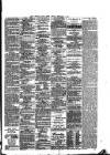 East Anglian Daily Times Friday 06 February 1891 Page 2