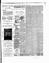 East Anglian Daily Times Thursday 02 February 1893 Page 3