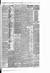 East Anglian Daily Times Monday 22 May 1893 Page 3