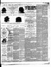 East Anglian Daily Times Thursday 29 June 1893 Page 3