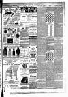 East Anglian Daily Times Saturday 01 July 1893 Page 3