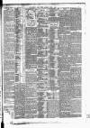 East Anglian Daily Times Saturday 01 July 1893 Page 7
