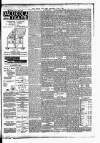 East Anglian Daily Times Wednesday 05 July 1893 Page 3