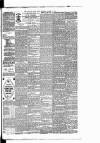 East Anglian Daily Times Thursday 03 August 1893 Page 7