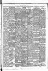 East Anglian Daily Times Wednesday 23 August 1893 Page 5