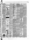 East Anglian Daily Times Thursday 24 August 1893 Page 7