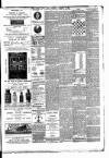 East Anglian Daily Times Saturday 02 December 1893 Page 3