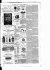 East Anglian Daily Times Tuesday 26 December 1893 Page 3