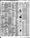 East Anglian Daily Times Monday 01 October 1894 Page 3