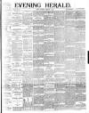 Evening Herald (Dublin) Thursday 04 February 1892 Page 1