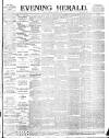 Evening Herald (Dublin) Tuesday 02 January 1894 Page 1