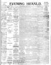 Evening Herald (Dublin) Wednesday 31 January 1894 Page 1