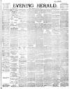 Evening Herald (Dublin) Thursday 29 March 1894 Page 1